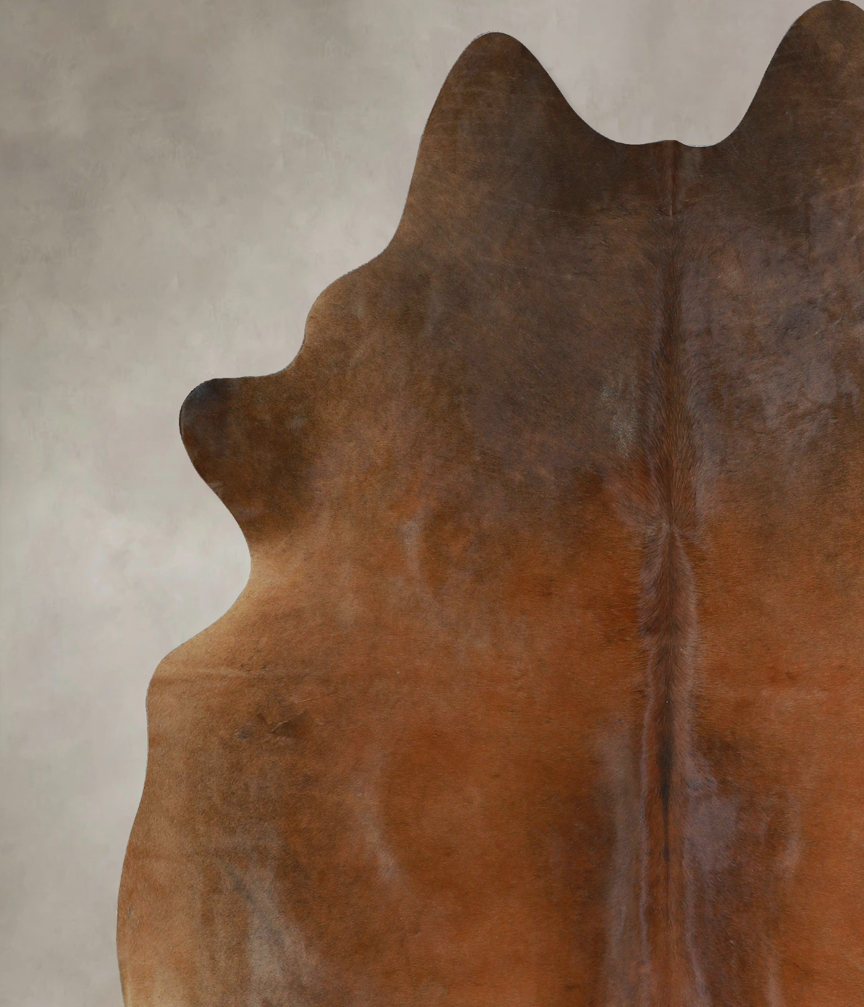 Warm Caramel Cowhide Rug #A43159