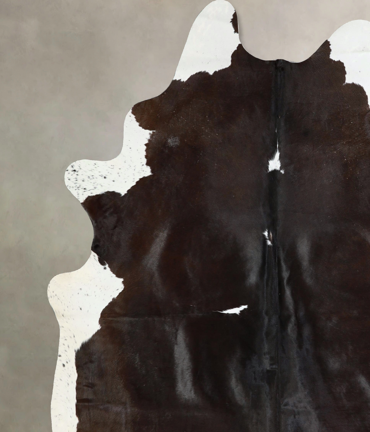 Chocolate and White X-Large Brazilian Cowhide Rug 7'3"H x 6'0"W #A43169 by Hudson Hides