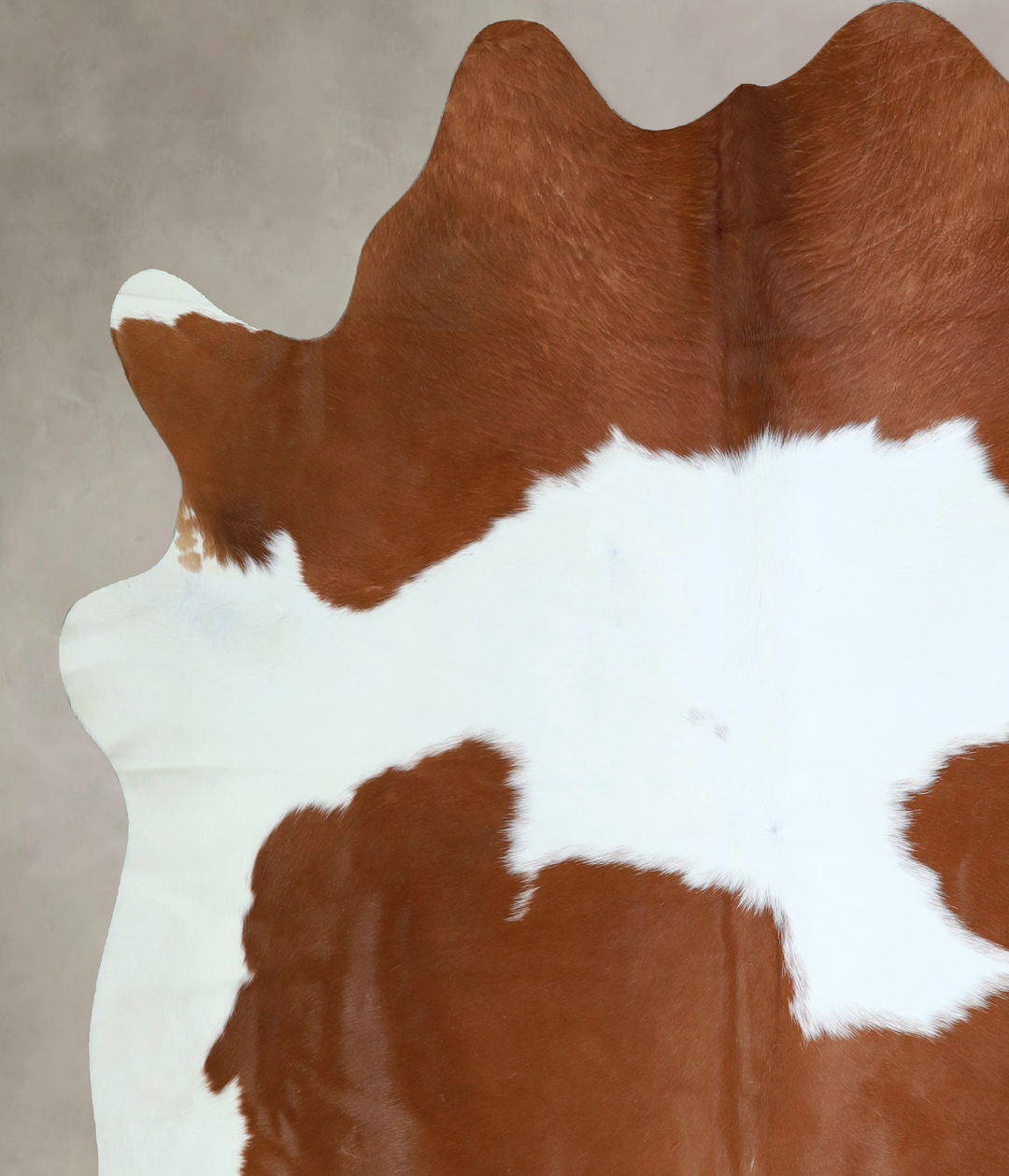 Brown and White X-Large Brazilian Cowhide Rug 6'11"H x 6'8"W #A43186 b