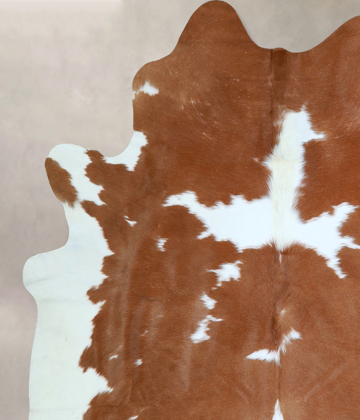 Brown and White X-Large Brazilian Cowhide Rug 7'1"H x 6'5"W #A43187 by Hudson Hides