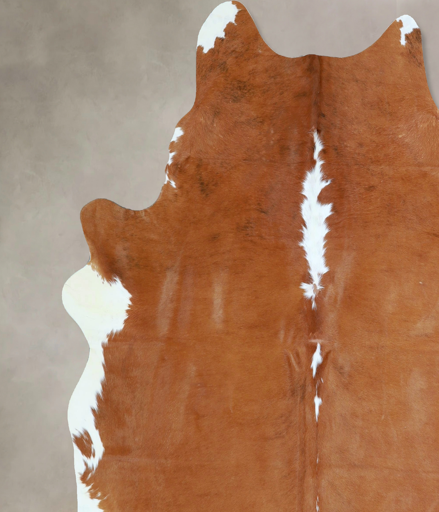 Brown and White Regular Cowhide Rug #A43193