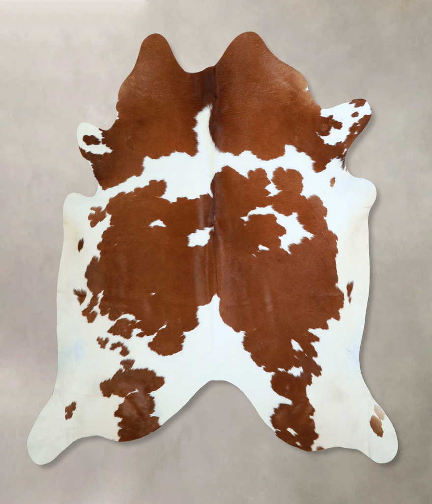 Brown and White XX-Large Brazilian Cowhide Rug 7'0"H x 7'2"W #A43201 by Hudson Hides