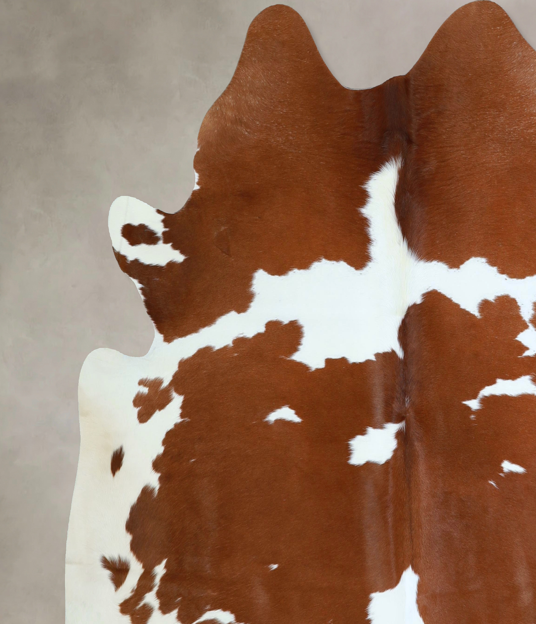 Brown and White XX-Large Brazilian Cowhide Rug 7'0"H x 7'2"W #A43201 b