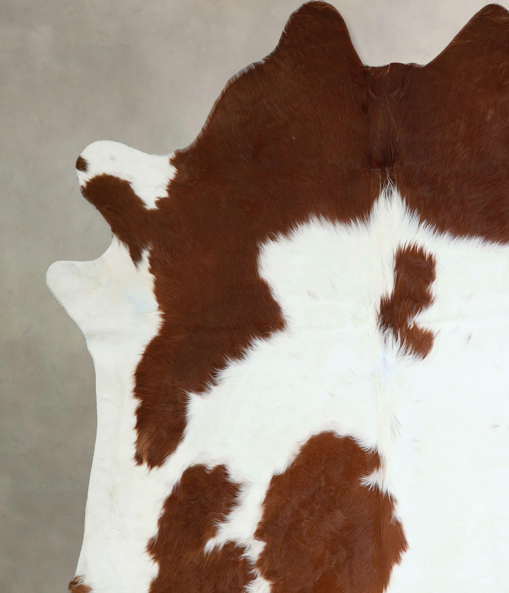 Brown and White Cowhide Rug #A43202