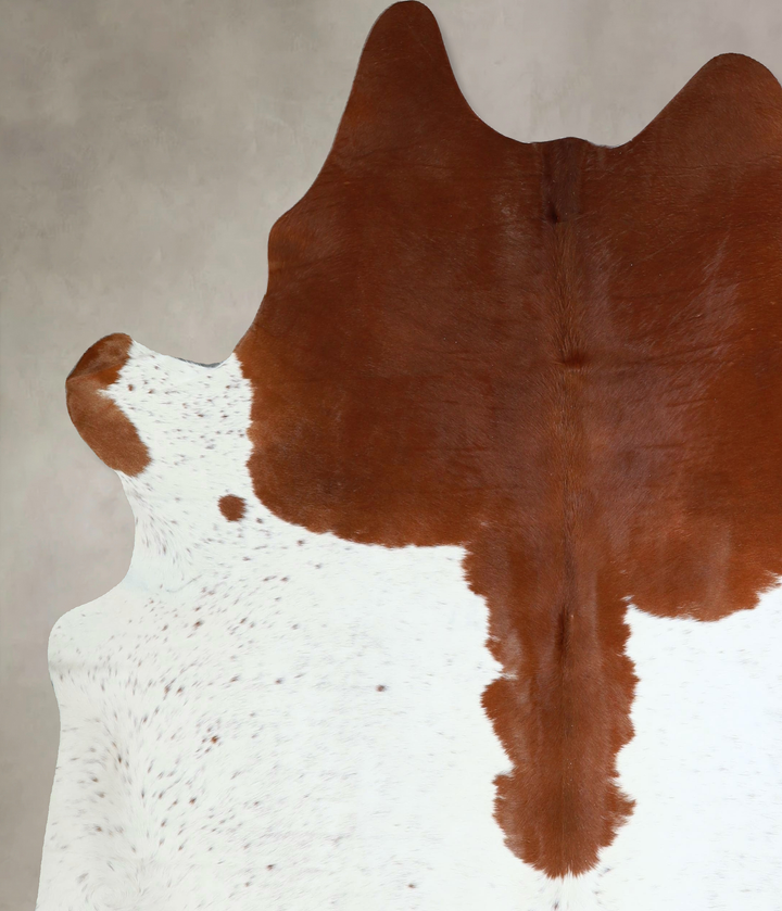 Brown and White X-Large Brazilian Cowhide Rug 7'4"H x 6'8"W #A43222 by Hudson Hides