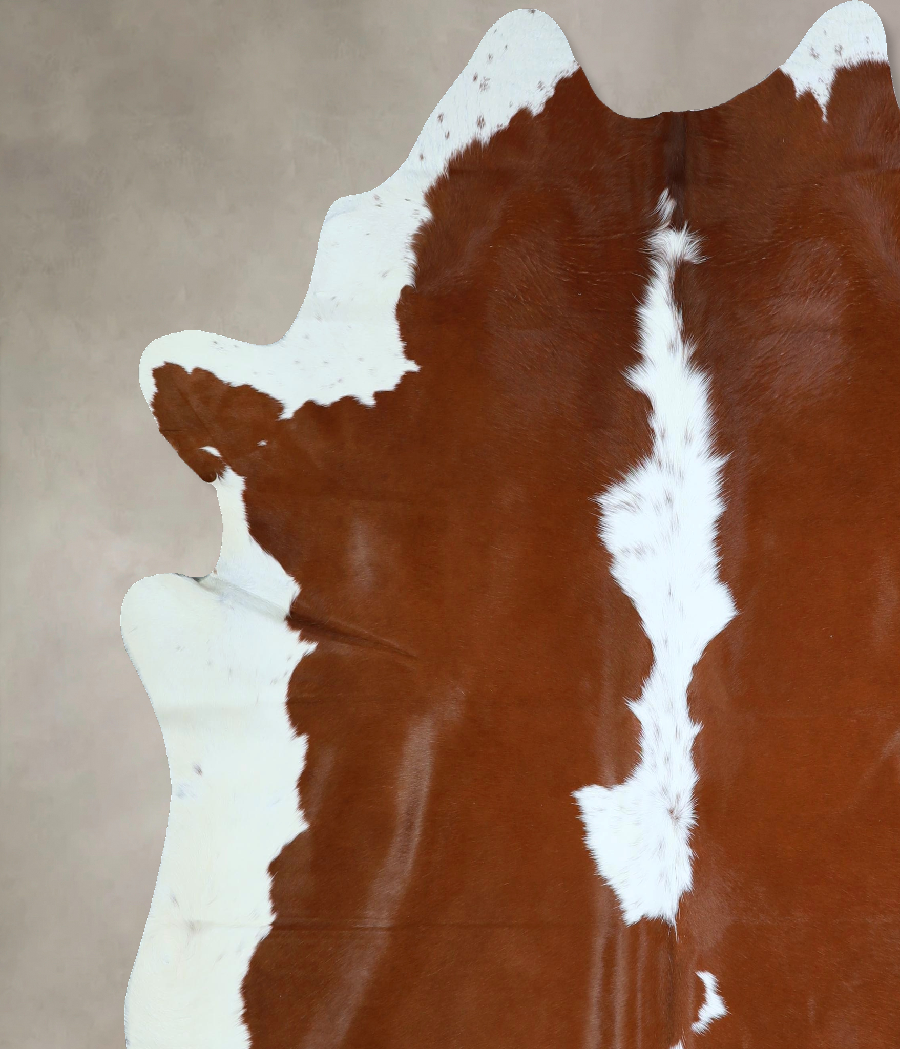 Brown and White Cowhide Rug #A43223