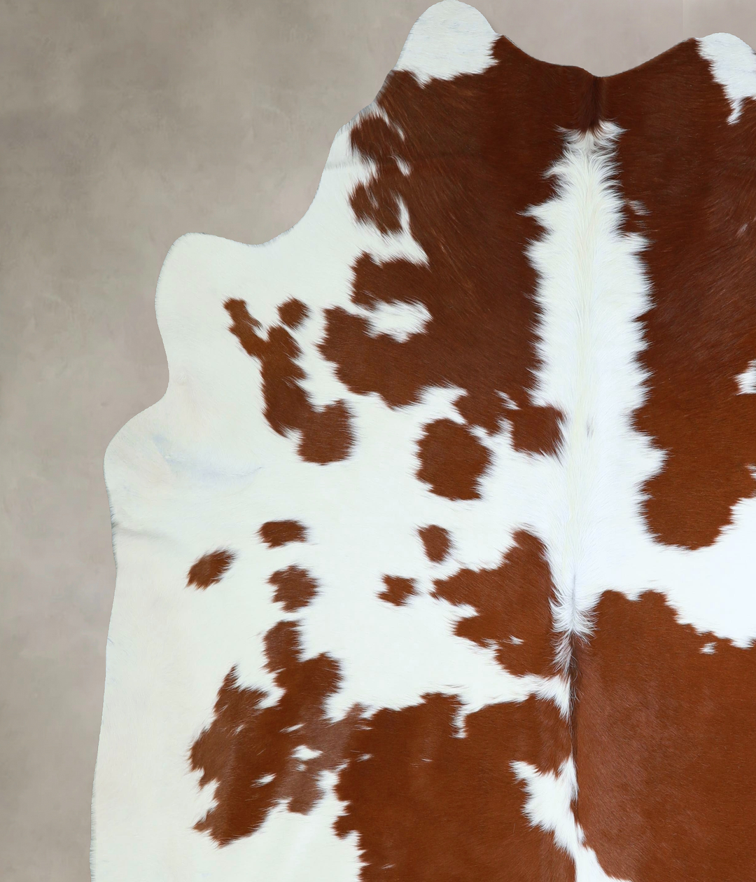 Brown and White XX-Large Brazilian Cowhide Rug 7'8"H x 7'7"W #A43245 b