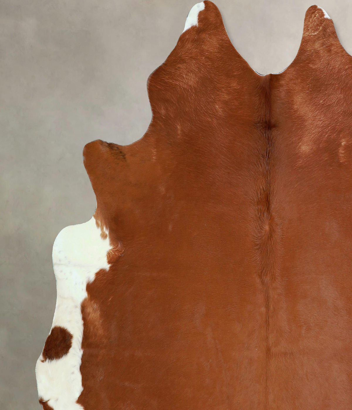 Brown and White Regular X-Large Brazilian Cowhide Rug 6'8"H x 6'6"W #A43267 by Hudson Hides