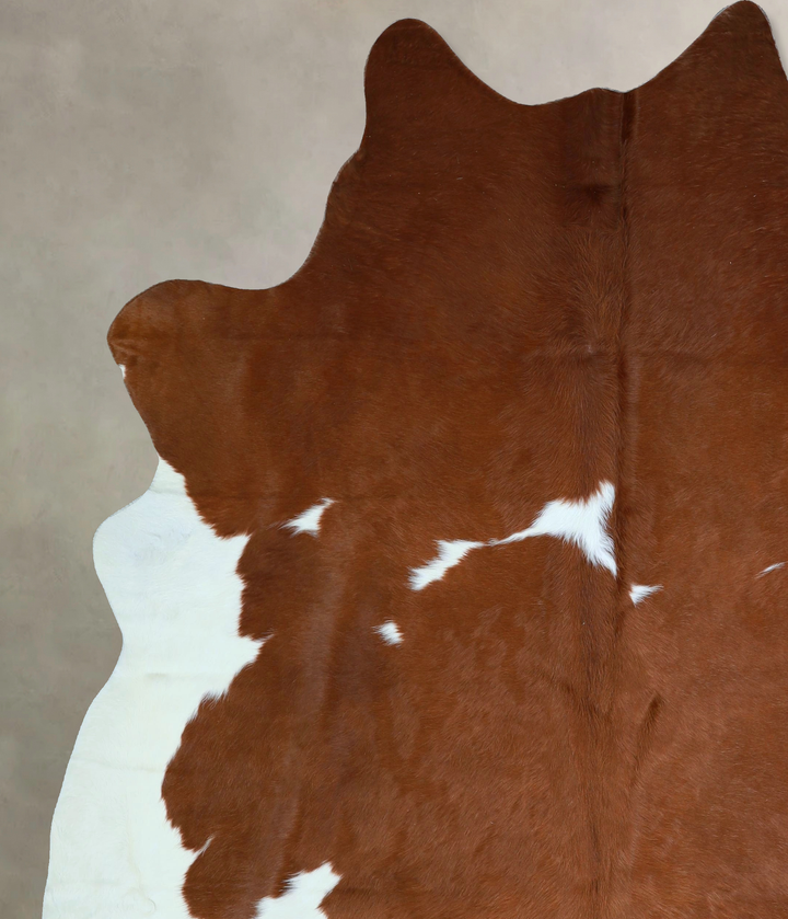 Brown and White XX-Large Brazilian Cowhide Rug 7'11"H x 6'8"W #A43277 by Hudson Hides