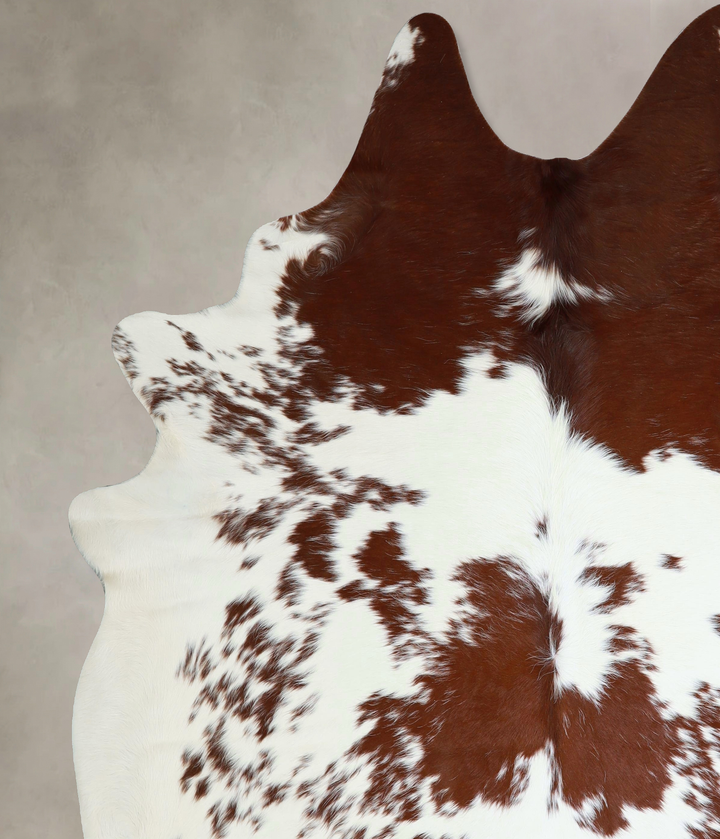 Brown and White XX-Large Brazilian Cowhide Rug 8'1"H x 7'5"W #A43295 by Hudson Hides