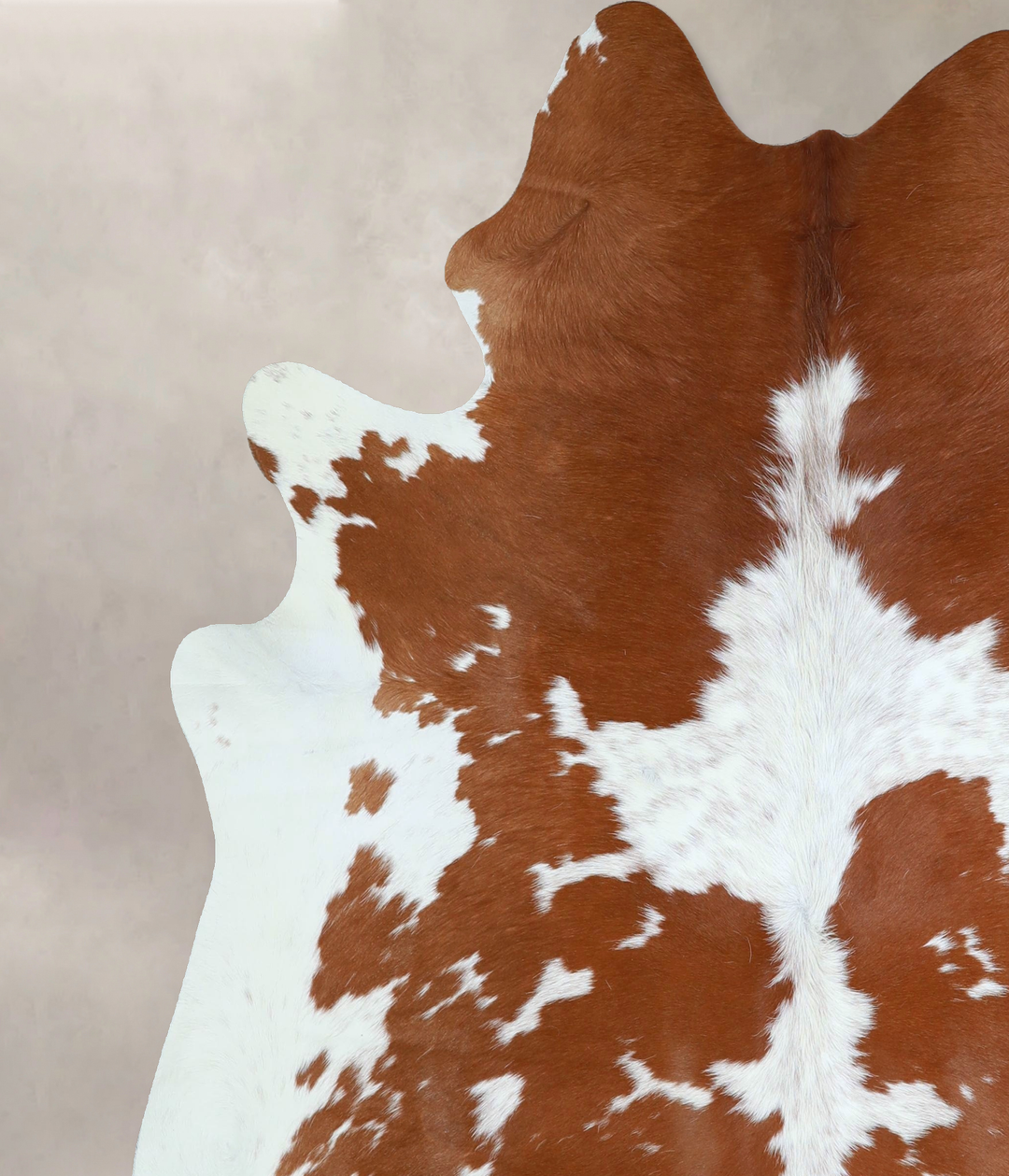 Brown and White X-Large Brazilian Cowhide Rug 7'1"H x 6'4"W #A43296 by