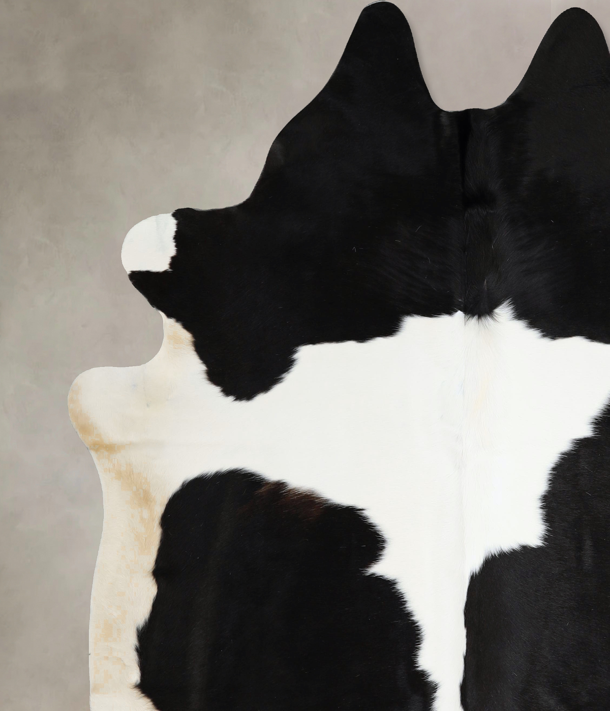 Black and White XX-Large Brazilian Cowhide Rug 7'8"H x 7'0"W #A43299 by Hudson Hides