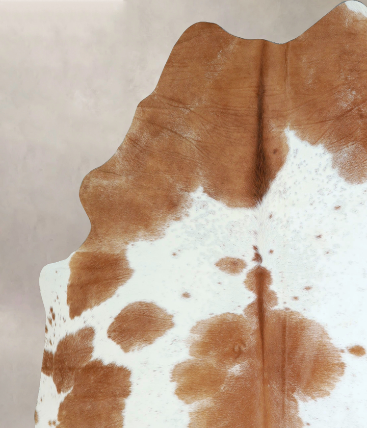 Brown and White XX-Large Brazilian Cowhide Rug 8'0"H x 6'10"W #A43303 by Hudson Hides
