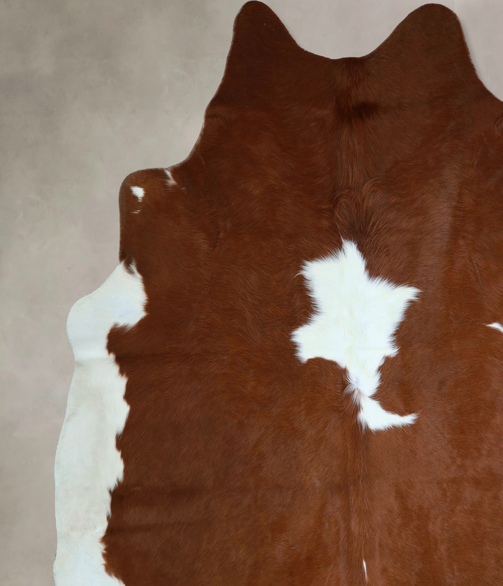Brown and White XX-Large Brazilian Cowhide Rug 7'4"H x 7'0"W #A43304 by Hudson Hides