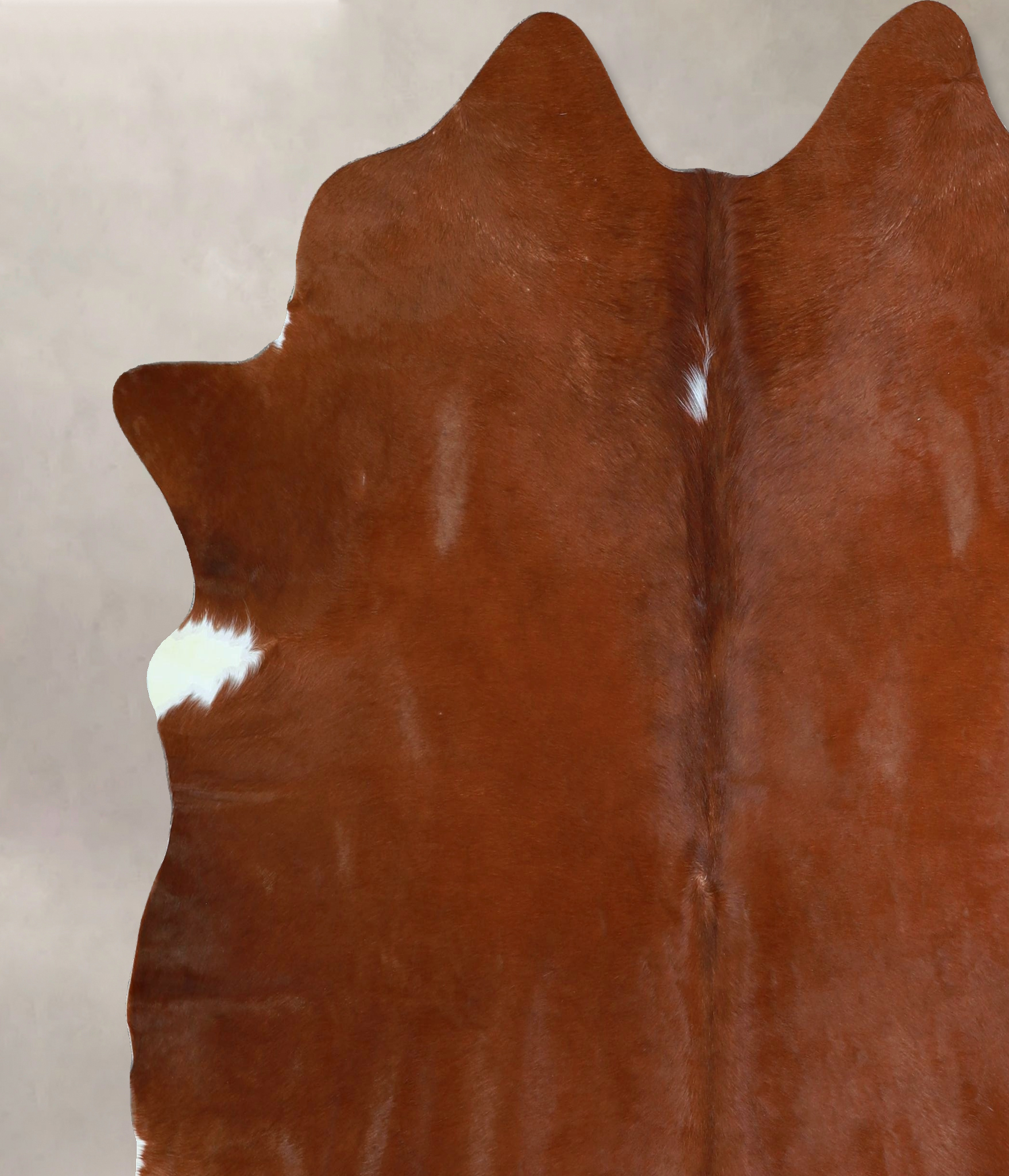 Solid Brown Cowhide Rug #A43324