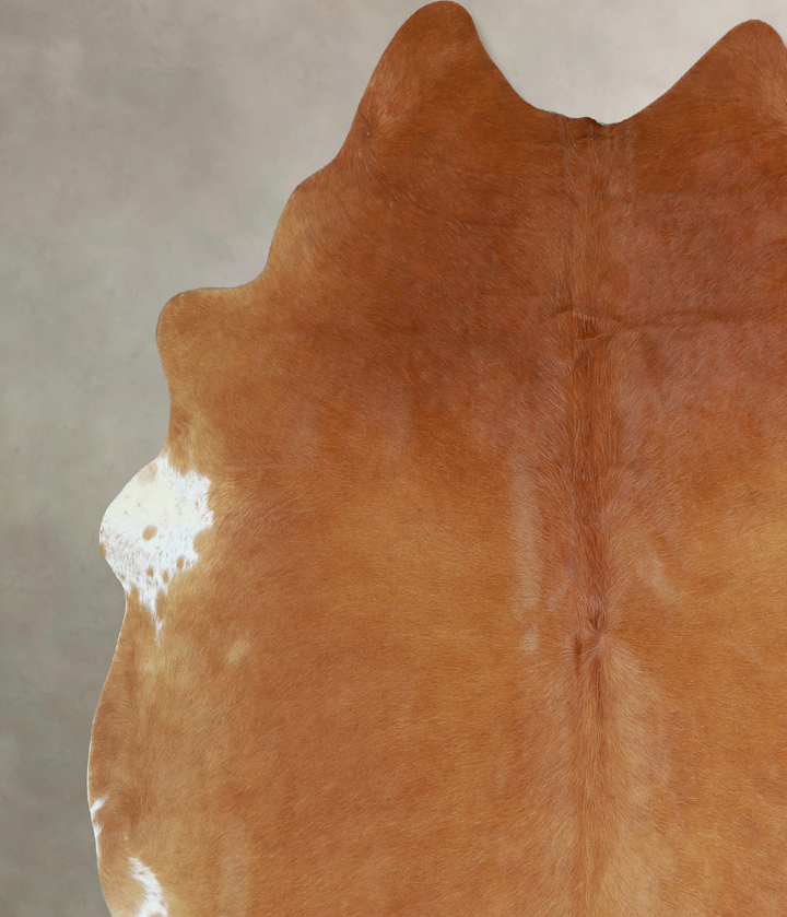 Solid Brown X-Large Brazilian Cowhide Rug 6'11"H x 6'5"W #A43326 by Hudson Hides