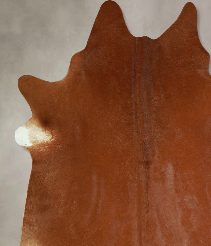 Solid Brown X-Large Brazilian Cowhide Rug 7'0"H x 6'11"W #A43344 by Hudson Hides
