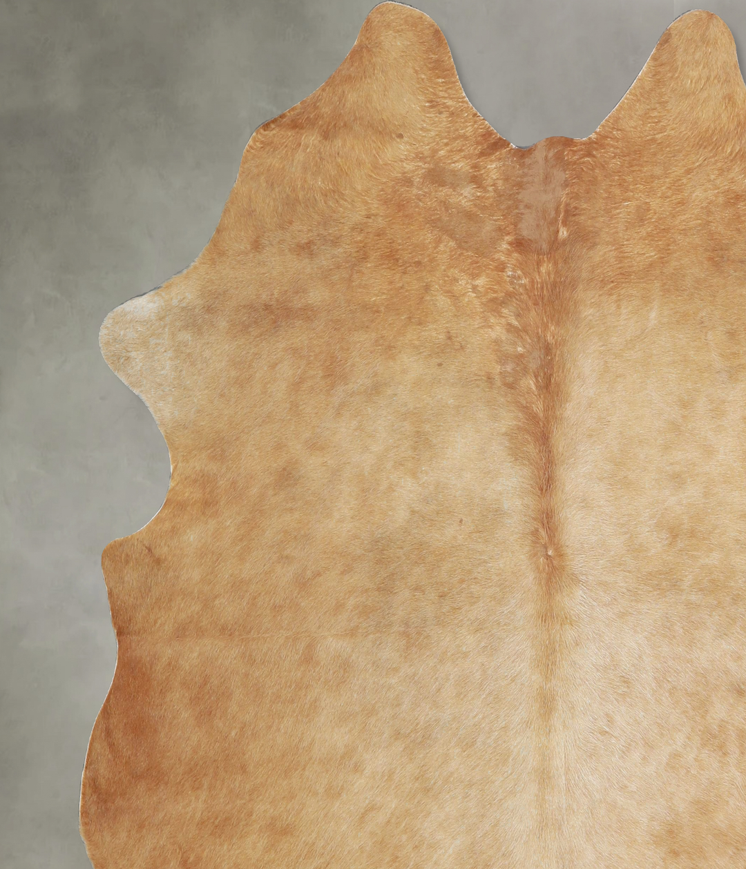 Beige X-Large Brazilian Cowhide Rug 6'9"H x 6'7"W #A43354 by Hudson Hi