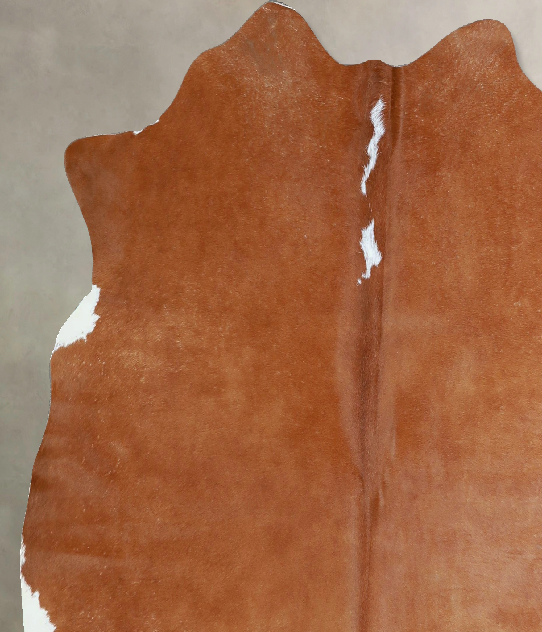 Brown and White Regular Cowhide Rug #A43356