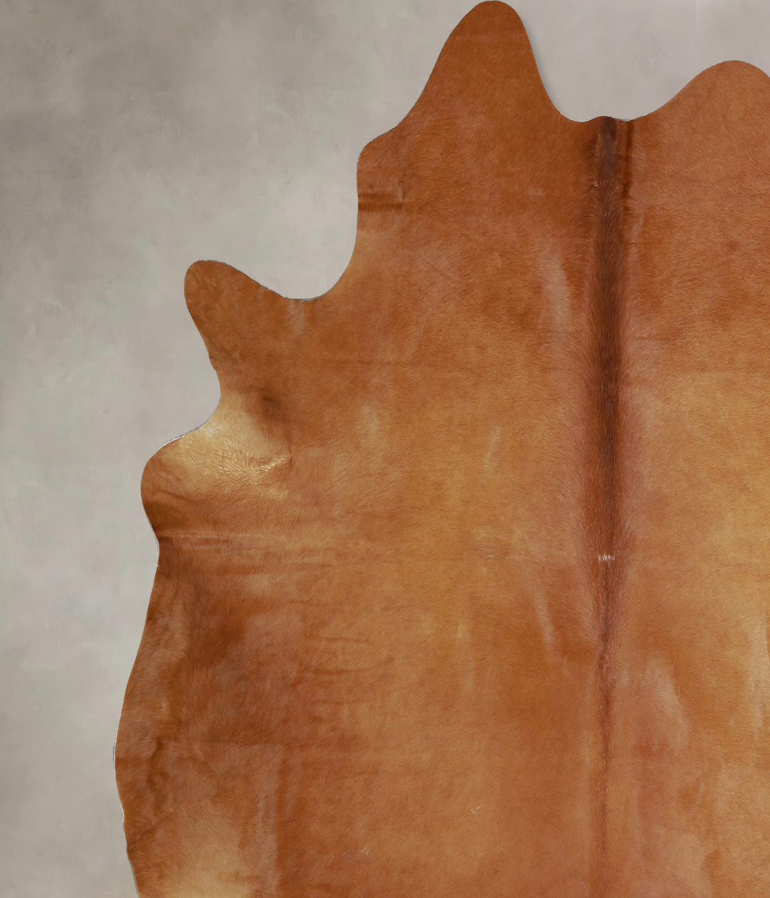 Solid Brown XX-Large Brazilian Cowhide Rug 7'6"H x 7'2"W #A43361 by Hu