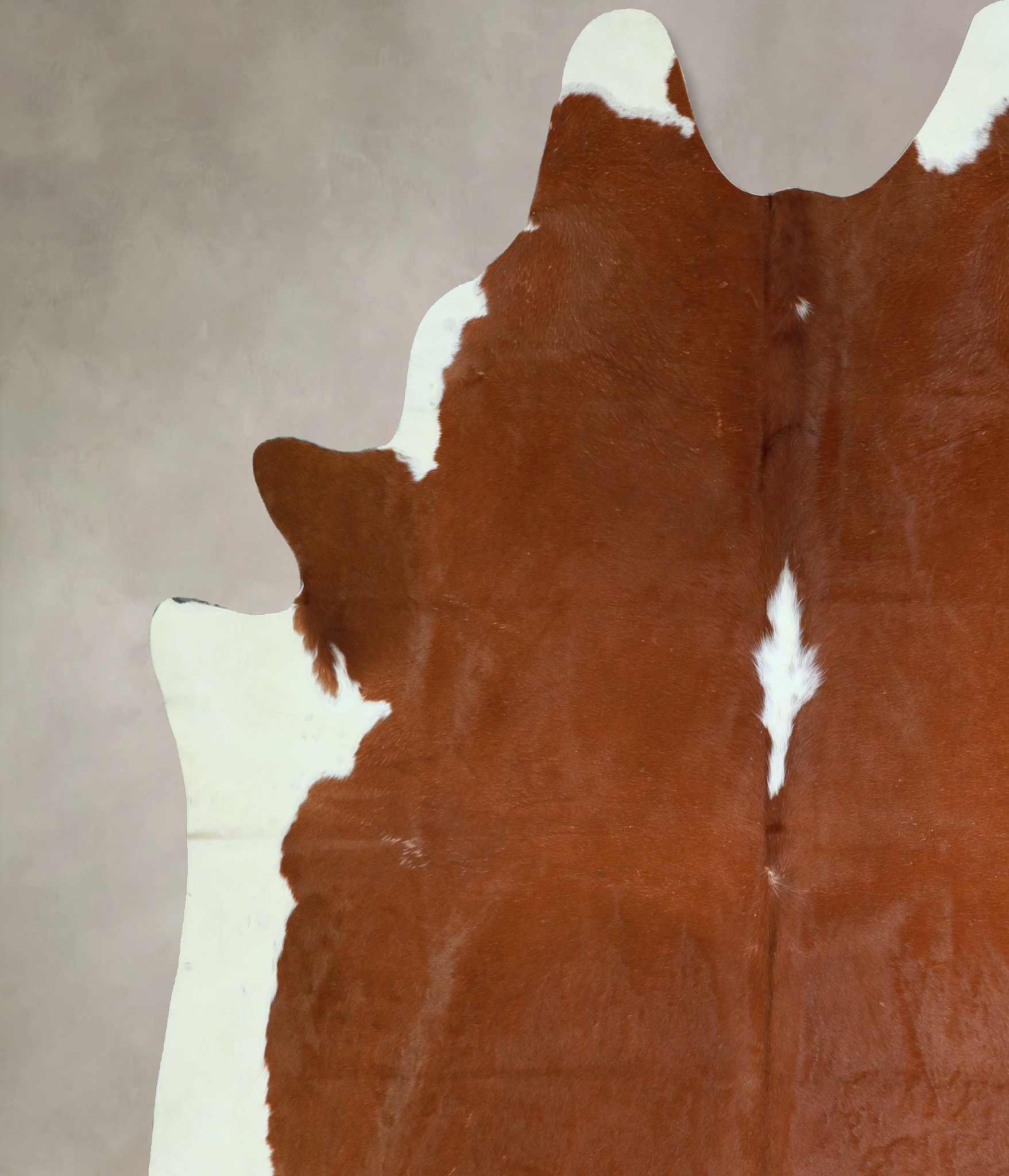 Brown and White Regular Cowhide Rug #A43362