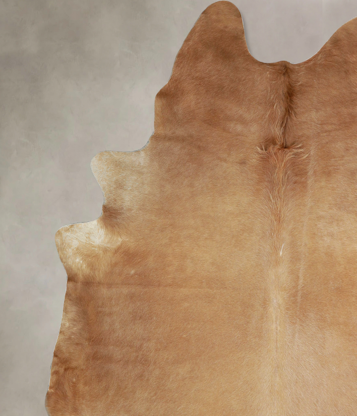 Beige XX-Large Brazilian Cowhide Rug 7'8"H x 7'1"W #A43364 by Hudson Hides