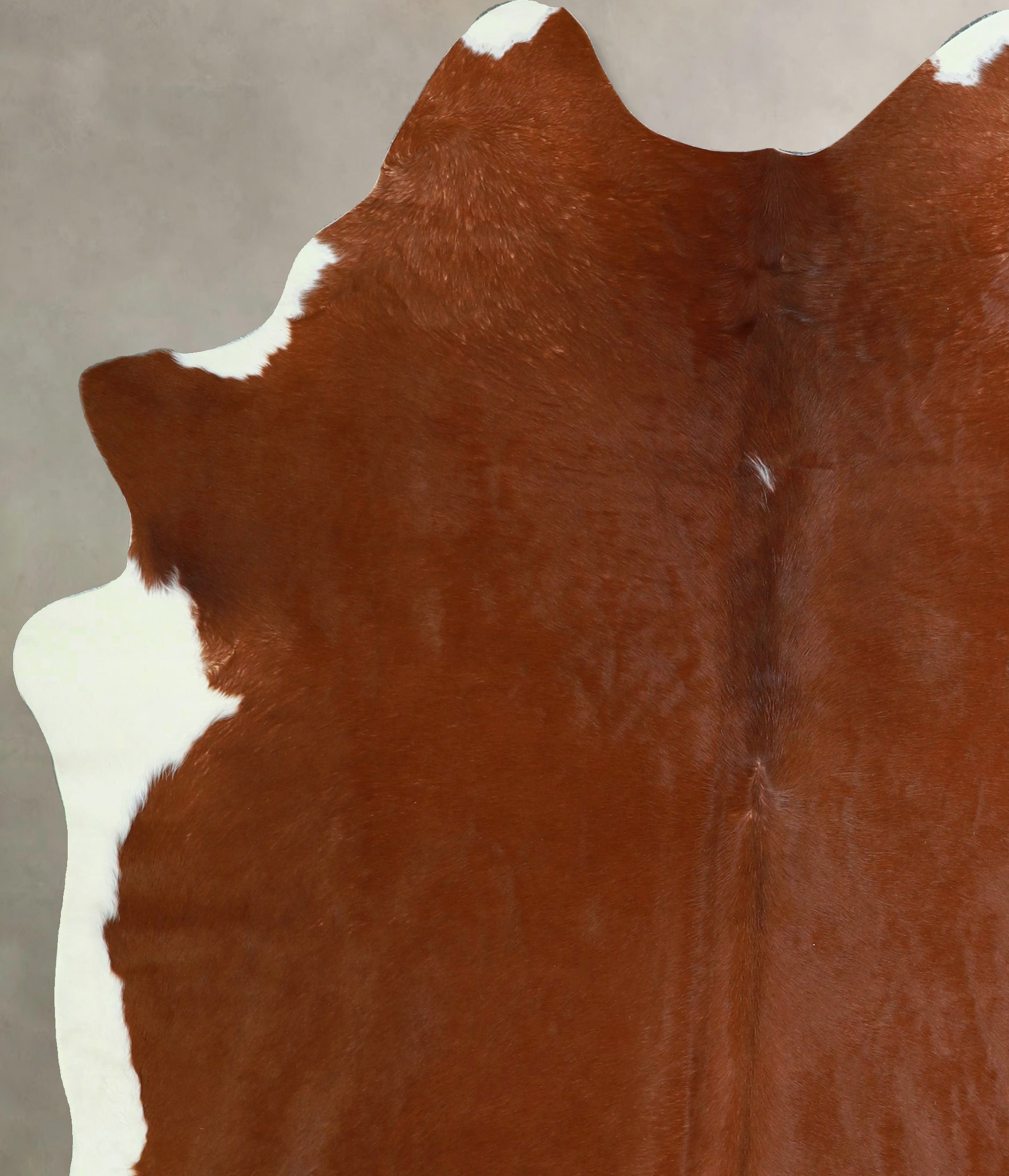 Brown and White Regular Cowhide Rug #A43365