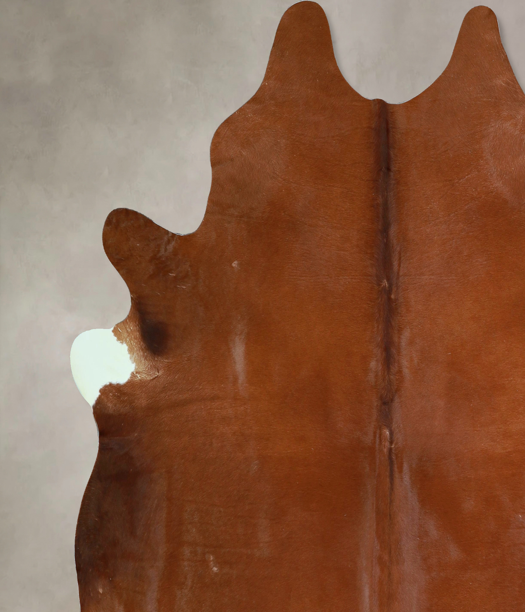 Solid Brown XX-Large Brazilian Cowhide Rug 7'11"H x 7'7"W #A43370 by H