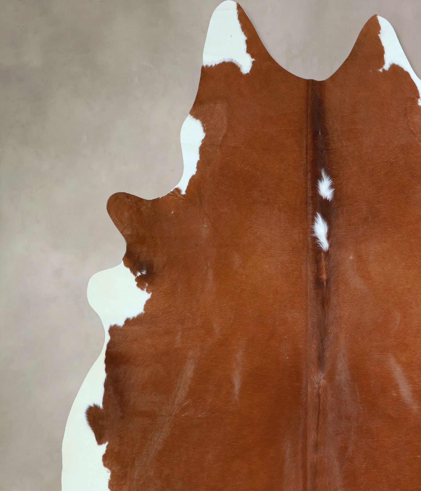 Brown and White Regular Cowhide Rug #A43371