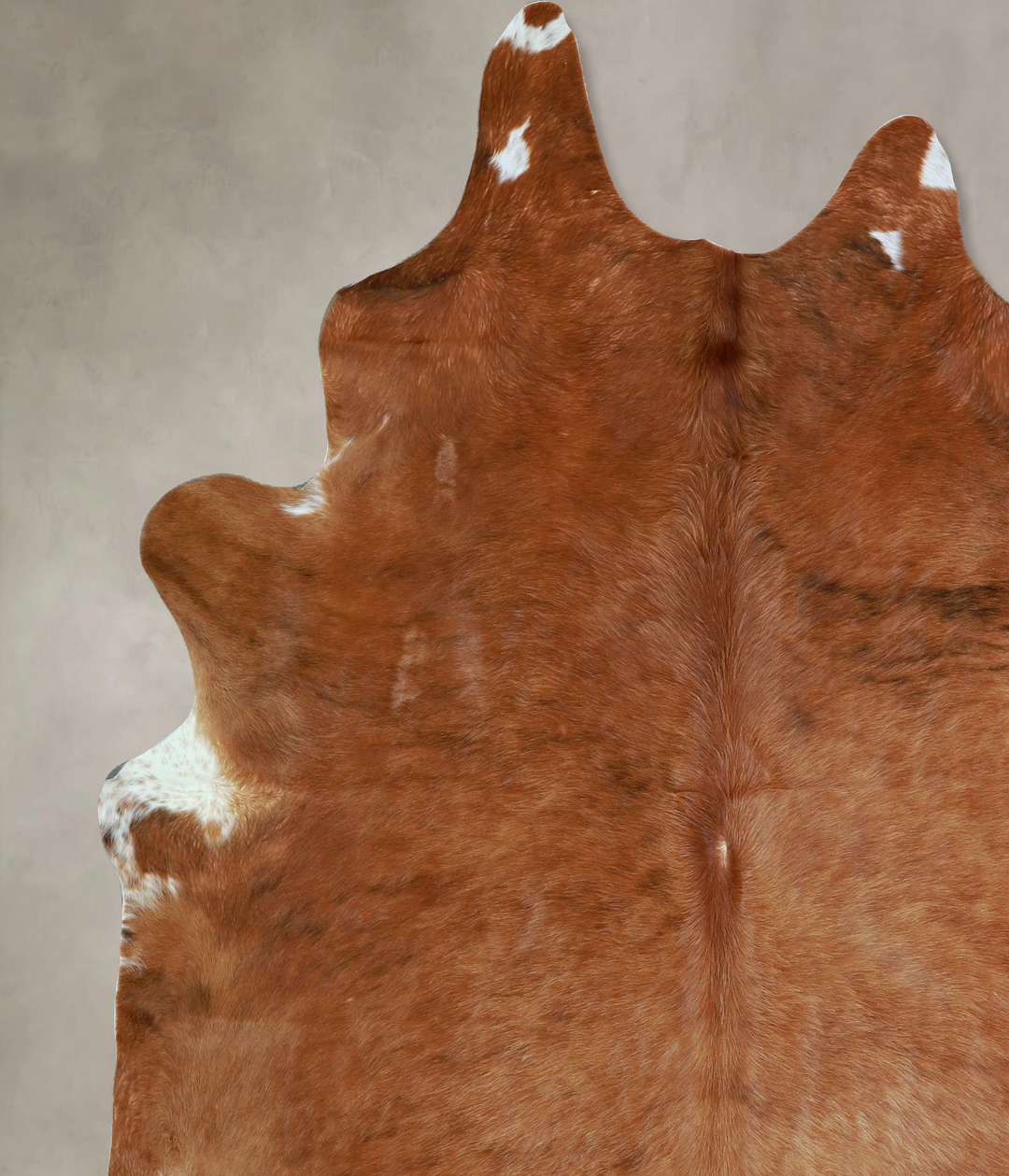 Solid Brown XX-Large Brazilian Cowhide Rug 8'1"H x 7'6"W #A43374 by Hu
