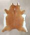 Brown and White Regular XX-Large Brazilian Cowhide Rug 8'5
