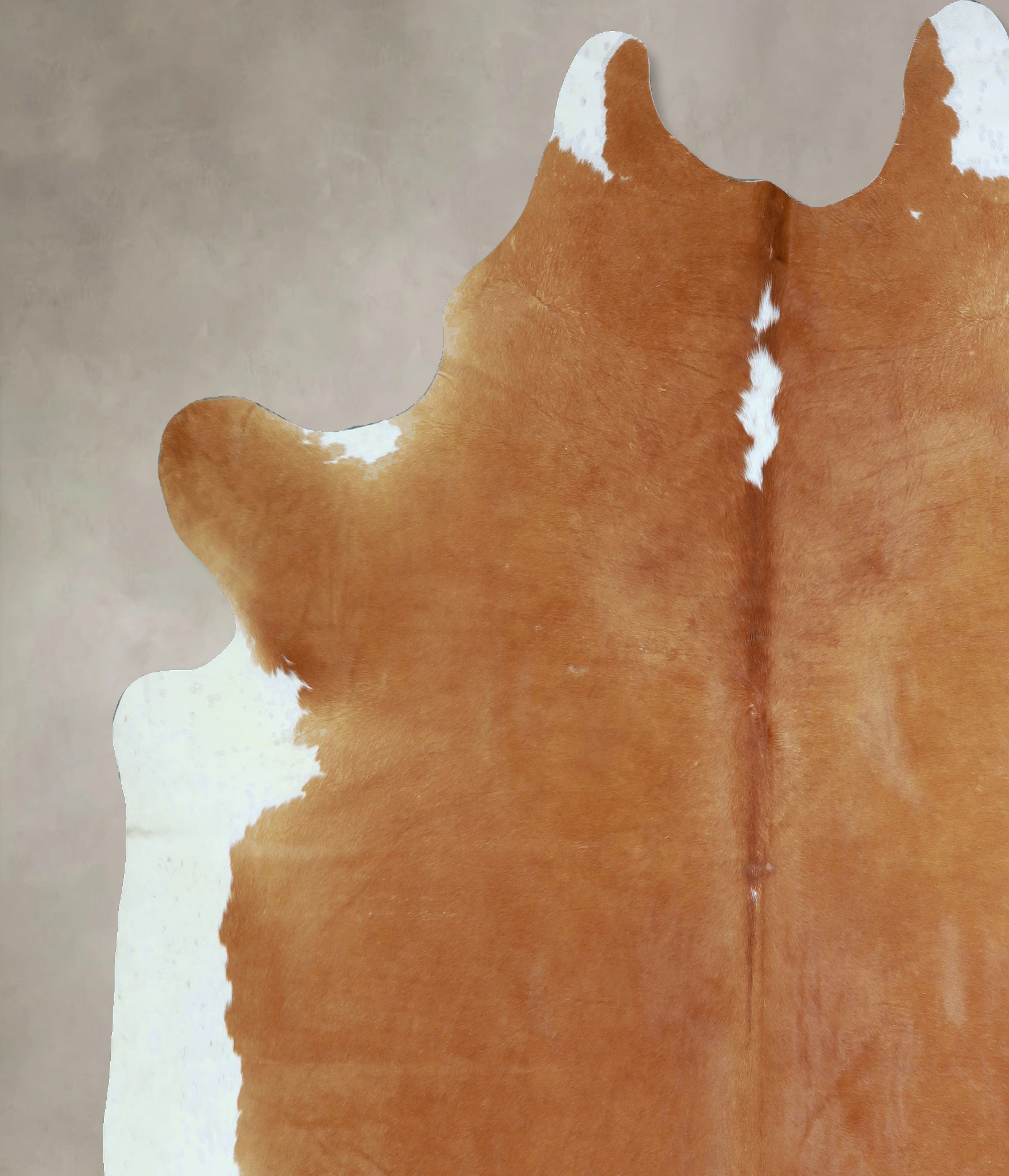 Brown and White Regular Cowhide Rug #A43376