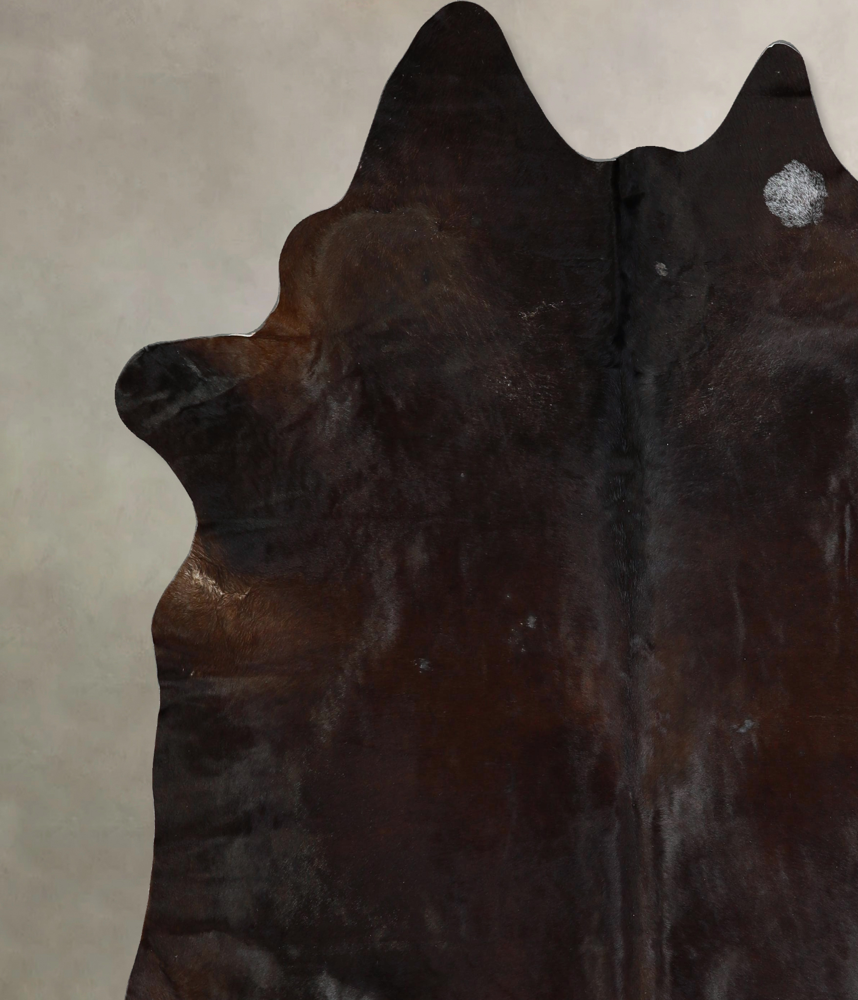 Chocolate Cowhide Rug #A43381