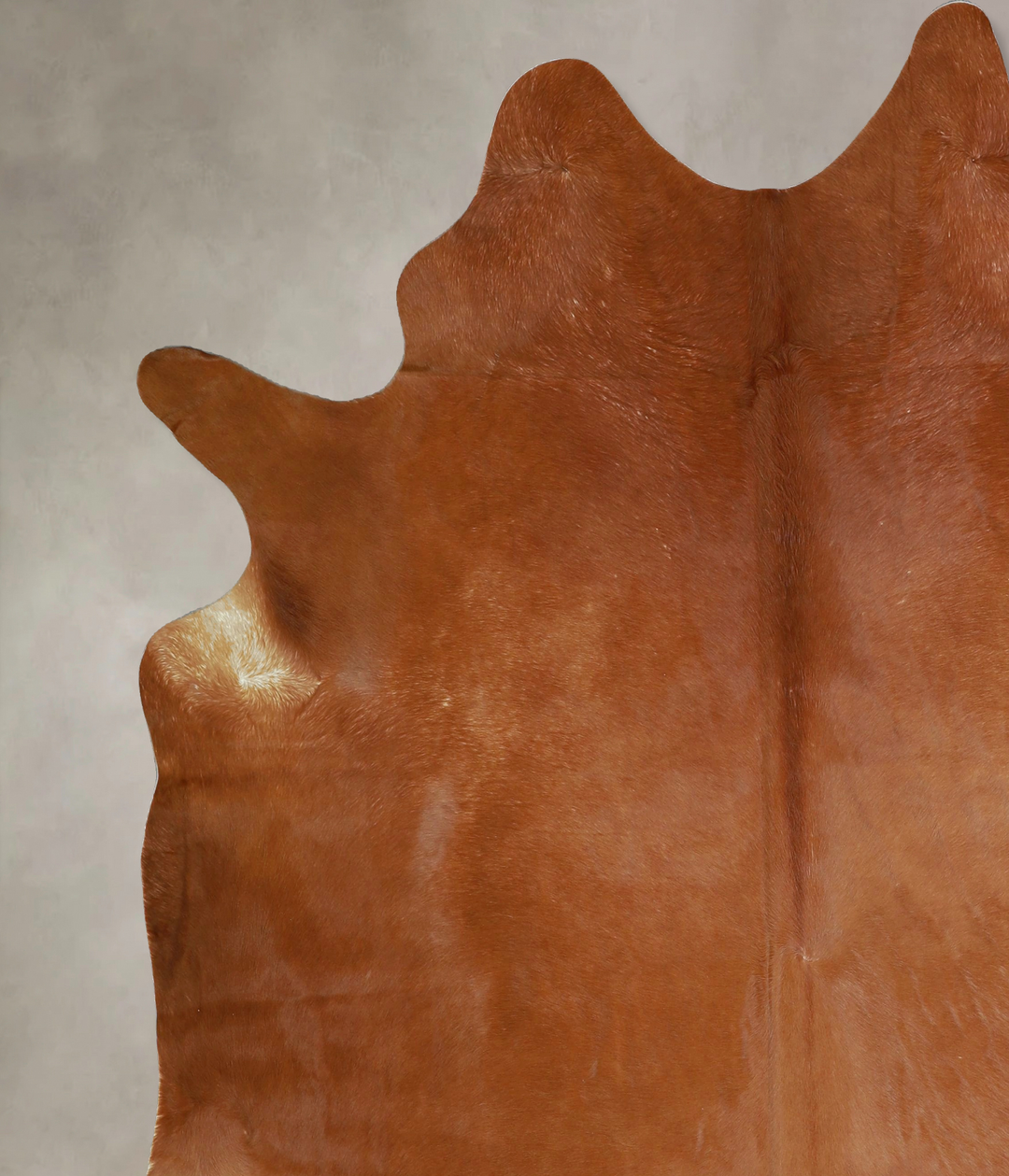Solid Brown XX-Large Brazilian Cowhide Rug 7'9"H x 6'11"W #A43385 by H