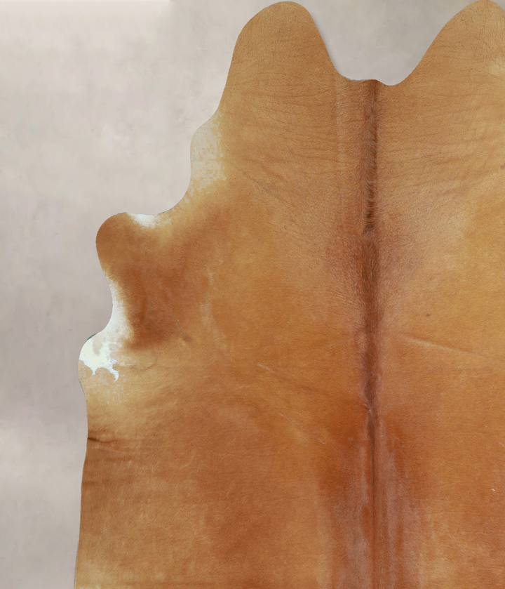 Solid Brown XX-Large Brazilian Cowhide Rug 7'11"H x 7'6"W #A43387 by Hudson Hides