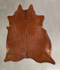 Solid Brown X-Large Brazilian Cowhide Rug 6'10