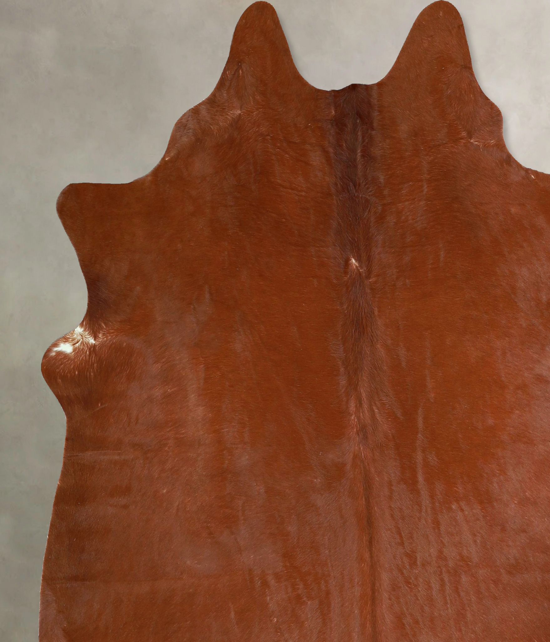 Solid Brown Cowhide Rug #A43399