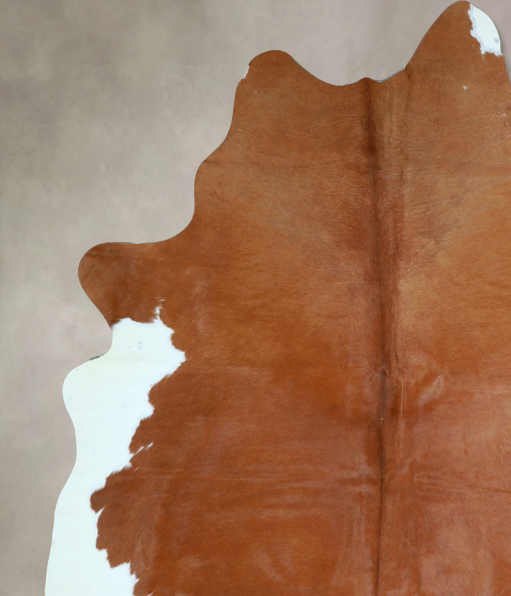 Brown and White Regular Cowhide Rug #A43408