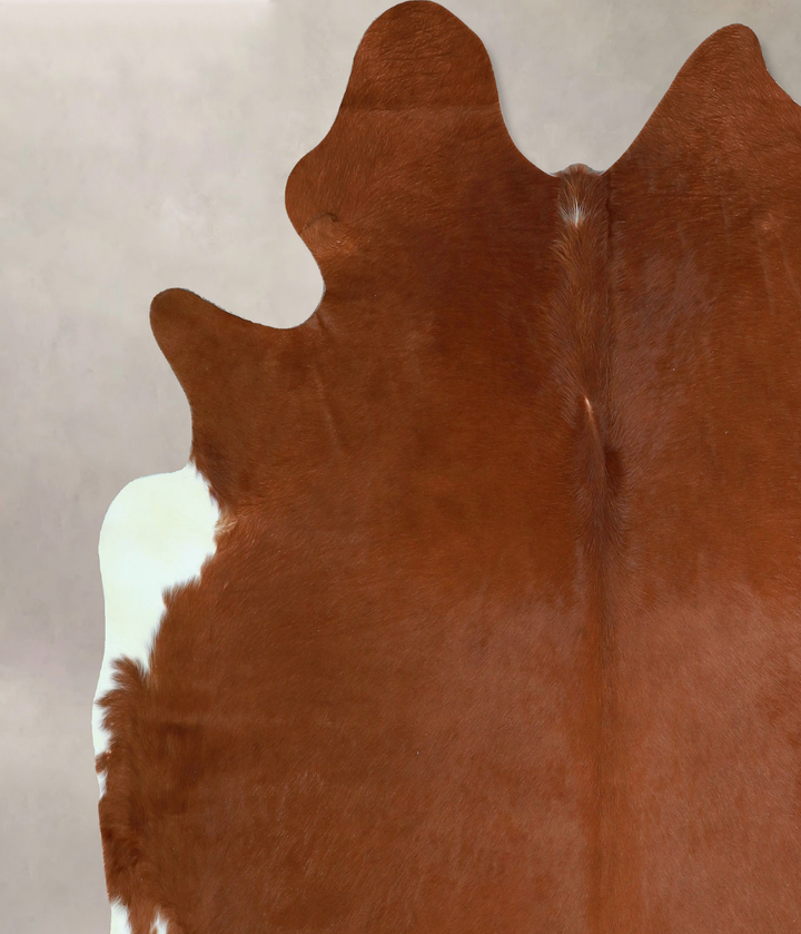 Solid Brown X-Large Brazilian Cowhide Rug 6'7"H x 6'6"W #A43415 by Hudson Hides