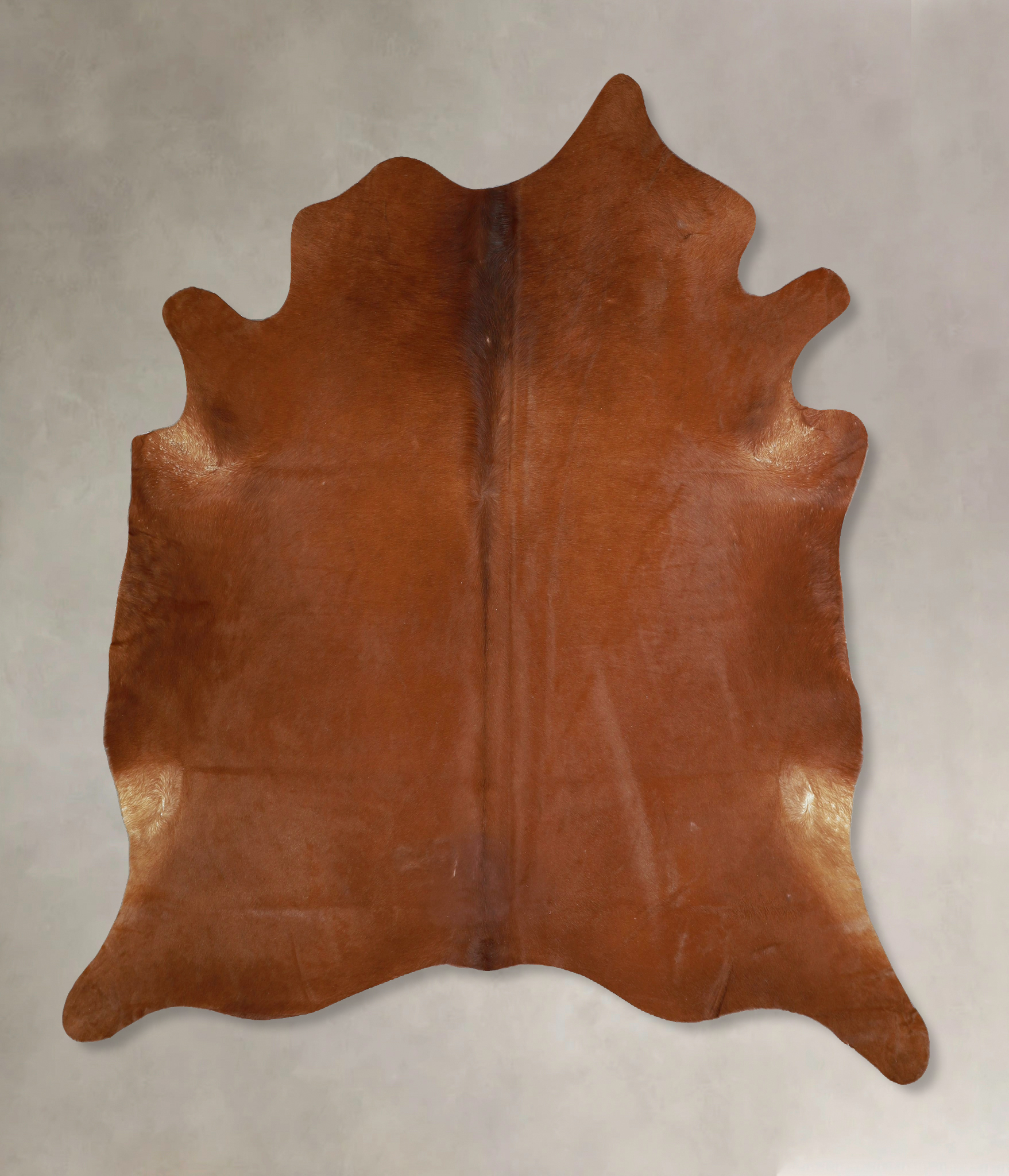 Solid Brown Cowhide Rug #A43416