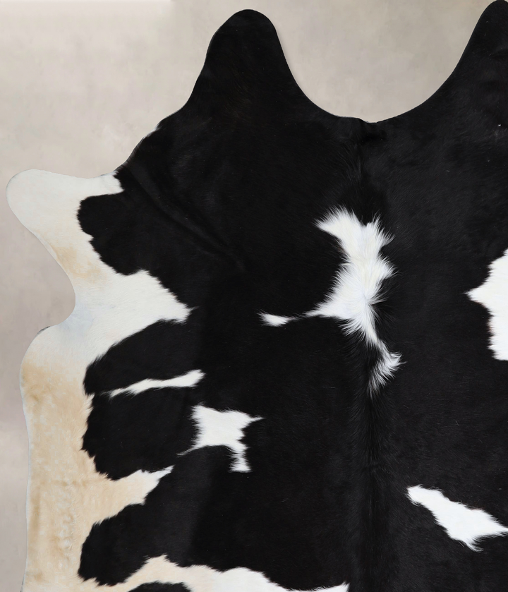 Black and White XX-Large Brazilian Cowhide Rug 7'10"H x 6'11"W #A43439 by Hudson Hides
