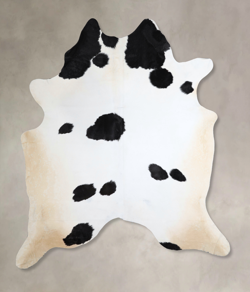 Black and White XX-Large Brazilian Cowhide Rug 8'1"H x 6'11"W #A43441 by Hudson Hides