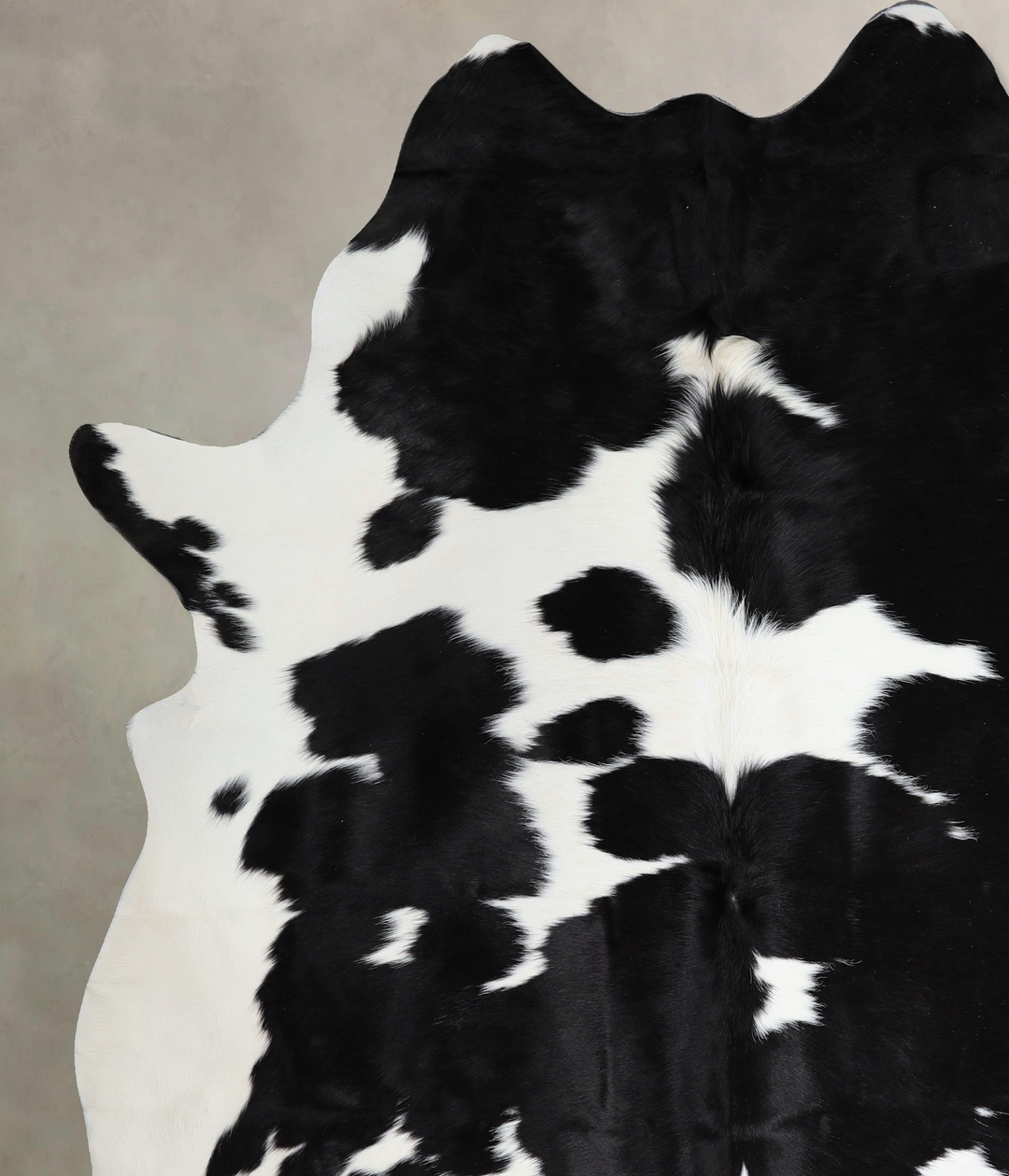 Black and White XX-Large Brazilian Cowhide Rug 8'3"H x 7'0"W #A43442 b