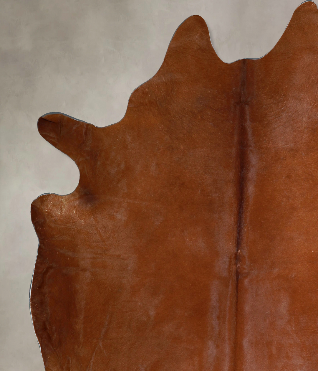 Solid Brown XX-Large Brazilian Cowhide Rug 8'3"H x 7'1"W #A43449 by Hu