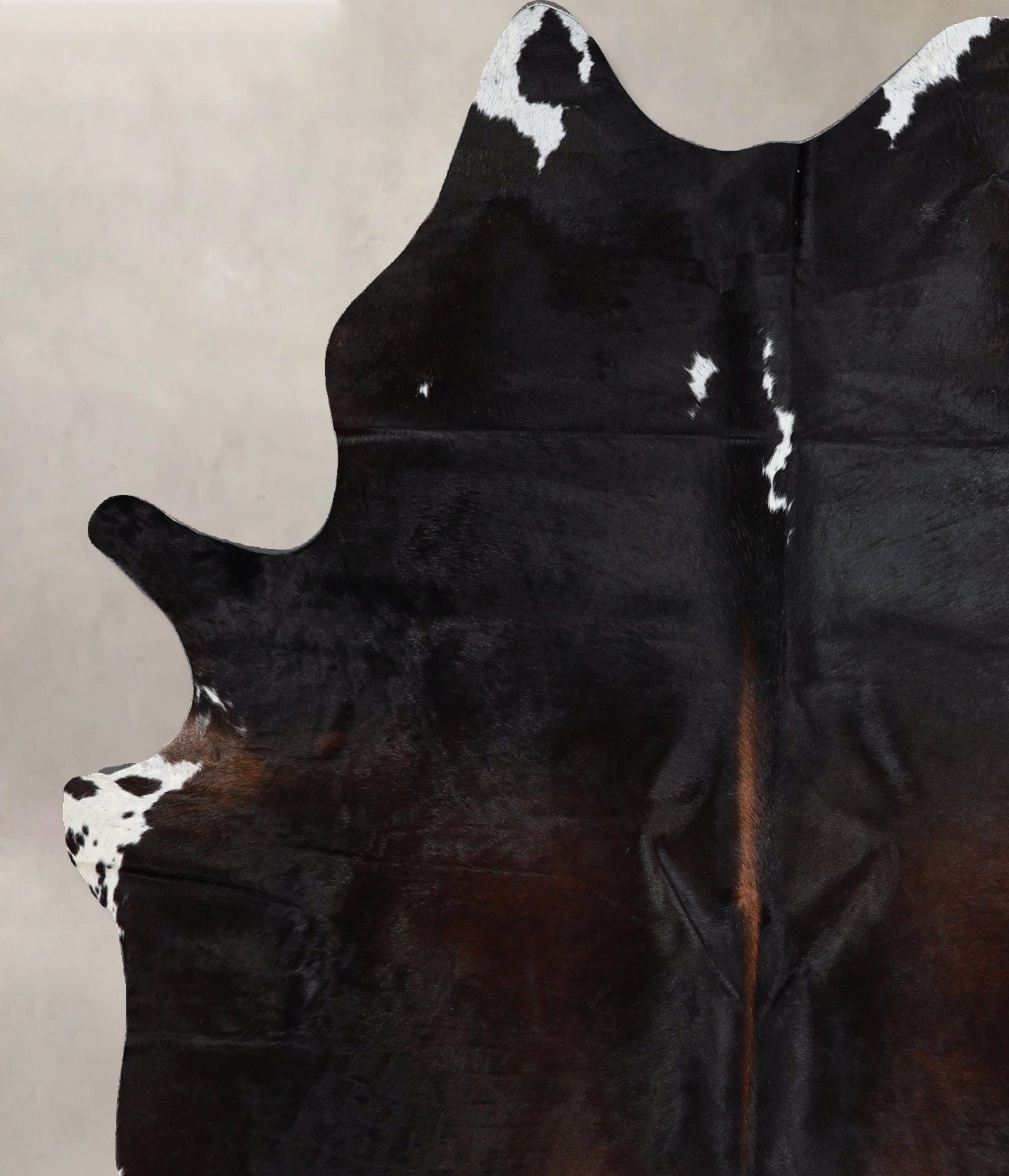 Chocolate Cowhide Rug #A43469