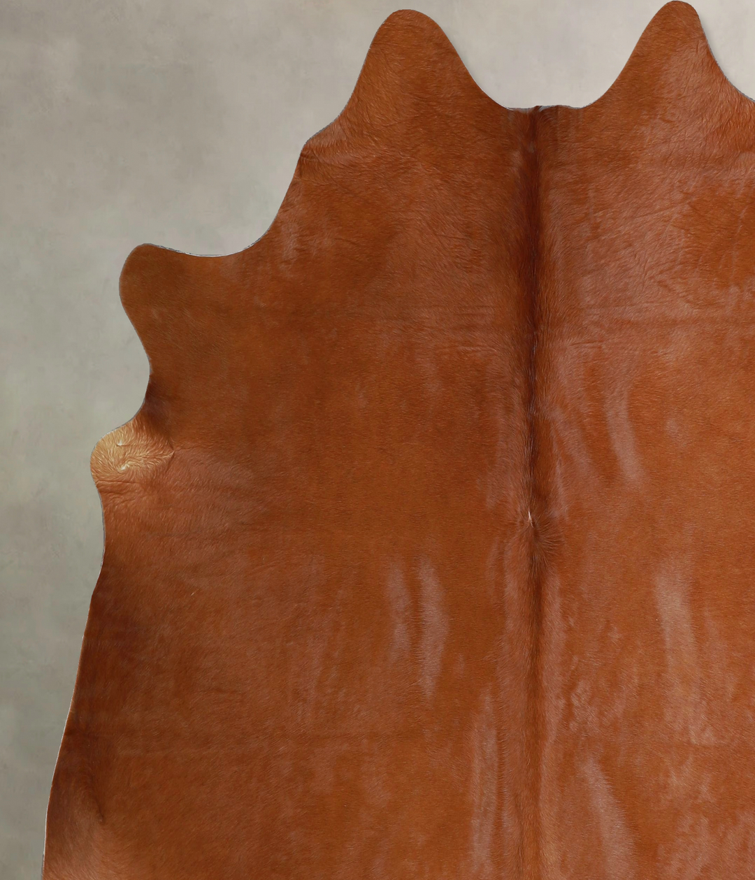 Solid Brown X-Large Brazilian Cowhide Rug 7'3"H x 6'8"W #A43477 by Hud