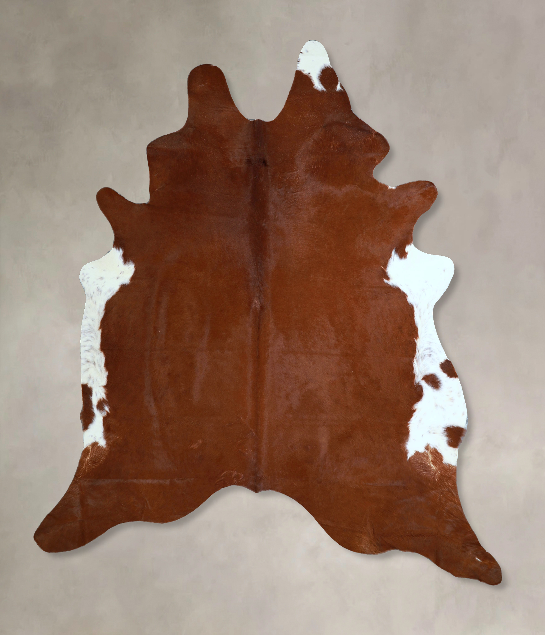 Brown and White Regular Cowhide Rug #A43480