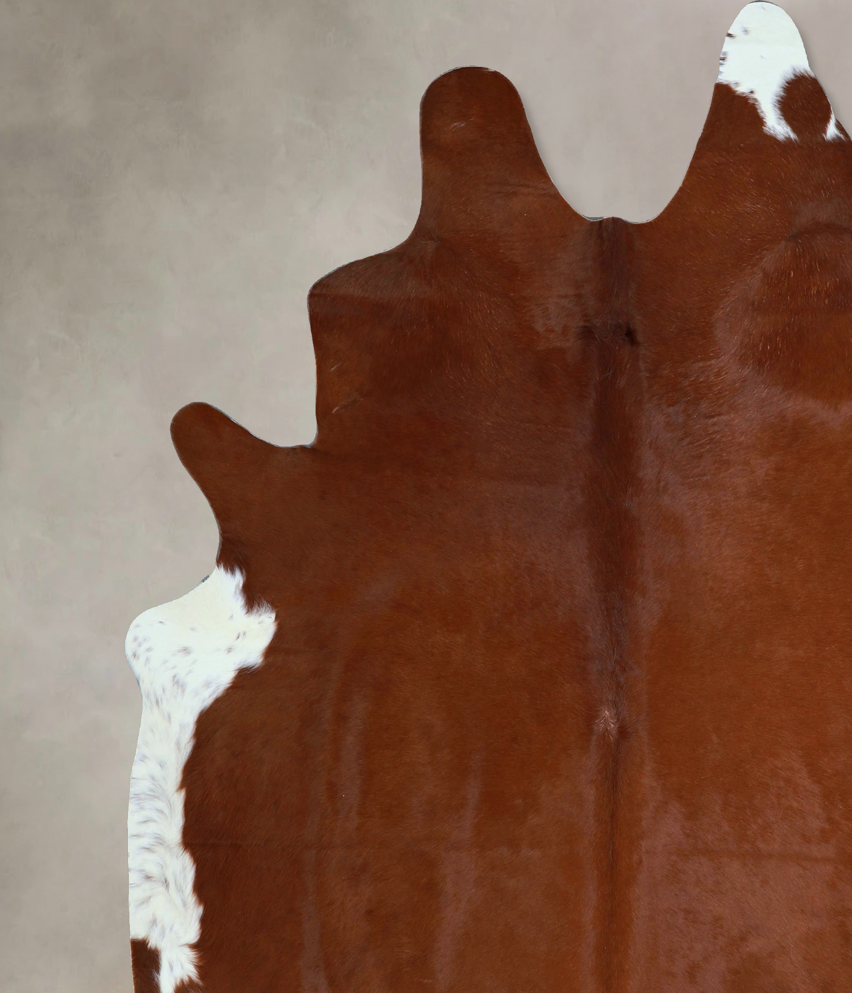 Brown and White Regular Cowhide Rug #A43480