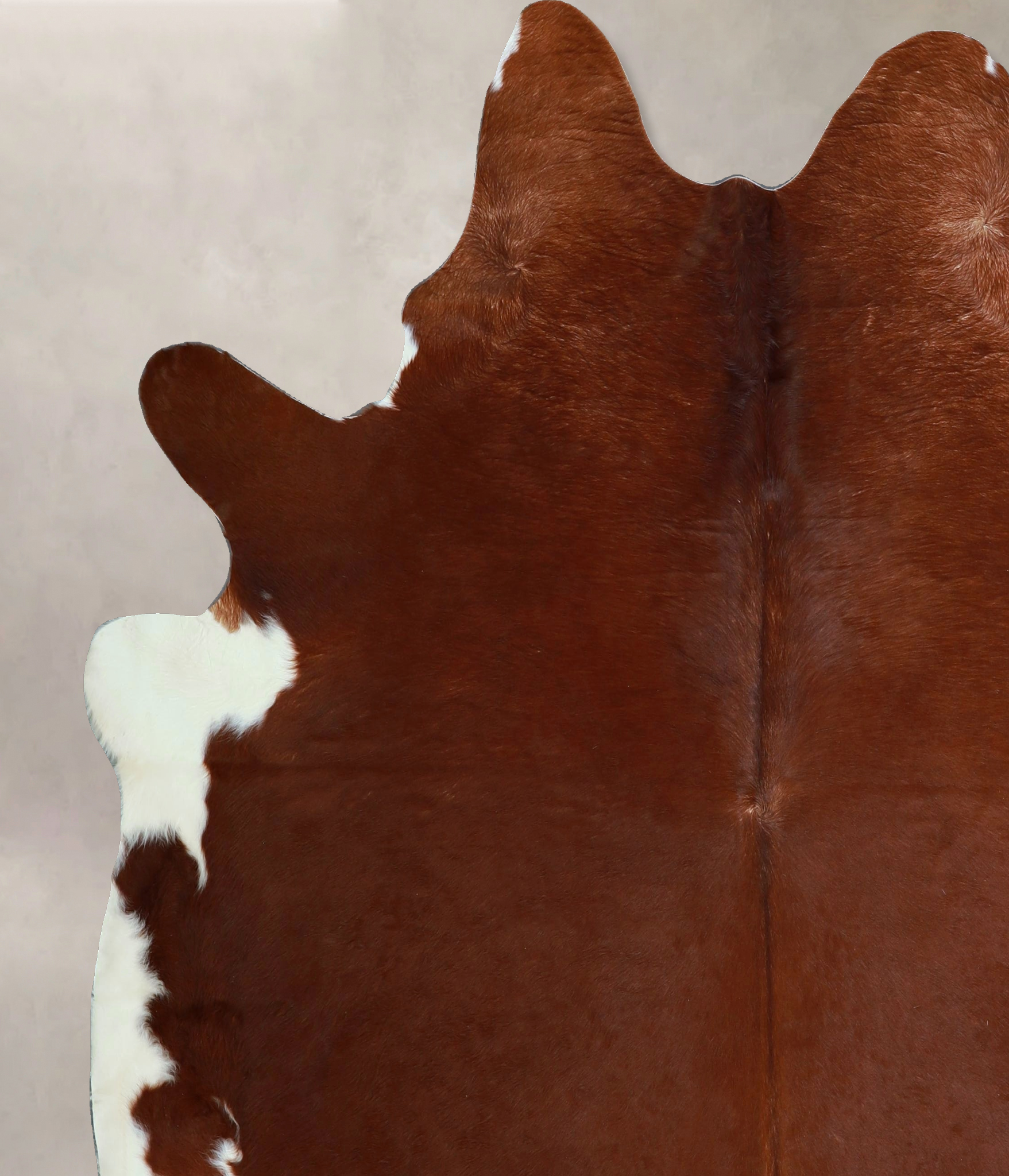 Brown and White Regular Cowhide Rug #A43488