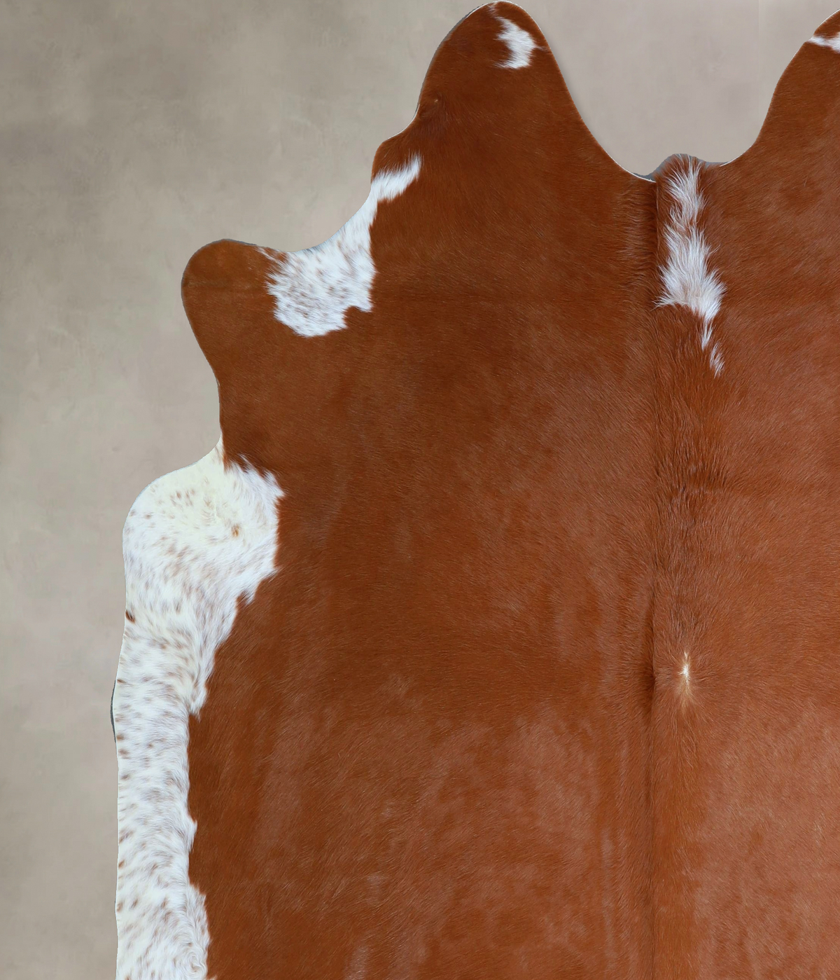 Brown and White Regular X-Large Brazilian Cowhide Rug 7'4"H x 6'10"W #A43502 by Hudson Hides